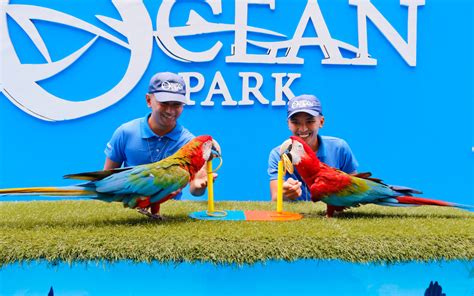 Manila Ocean Park All.